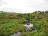 Click to view img_2449_t1.jpg
