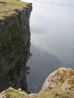 img_0307_t1.jpg