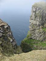 img_0329_t1.jpg